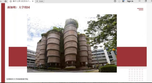 球客岛官方线路