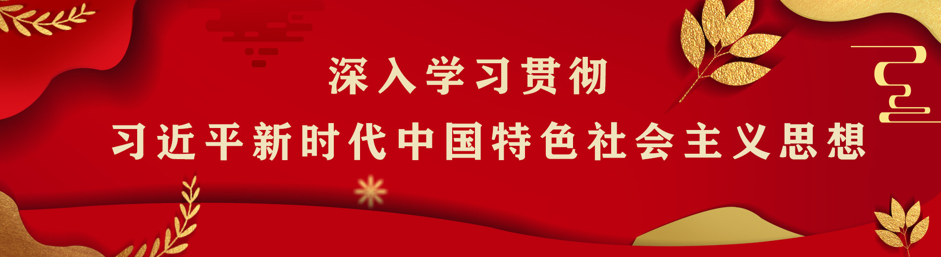 球客岛指定通道图片